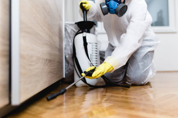 Best Residential Pest Control  in Delano, CA
