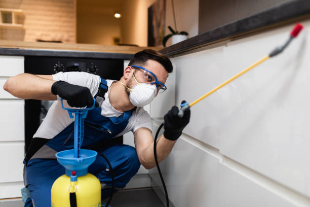 Best Rat Extermination Near Me  in Delano, CA