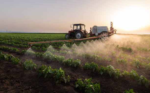 Best Bird Control  in Delano, CA
