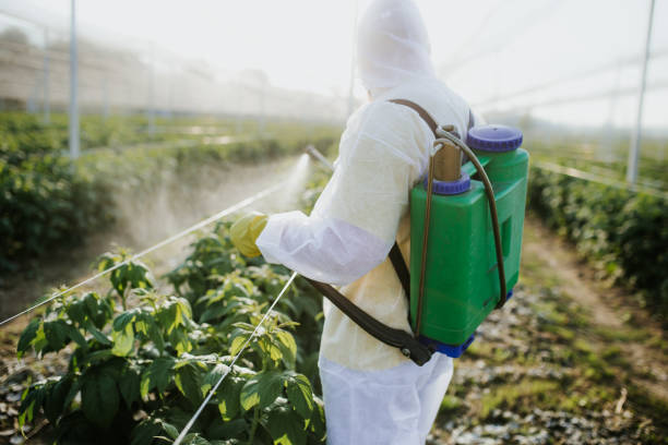 Best Affordable Pest Control Services  in Delano, CA